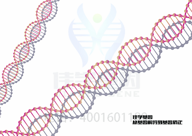 【佳學(xué)基因檢測】老年-洛肯綜合征4型基因解碼、<a href=http://m.floridacomunitycollege.com/tk/jiema/cexujishu/2021/31933.html>基因檢測</a>報告時間是一樣的嗎？