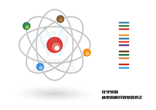 【佳學基因檢測】短肋胸椎發(fā)育異常16型有或沒有多指基因解碼、<a href=http://m.floridacomunitycollege.com/tk/jiema/cexujishu/2021/31933.html>基因檢測</a>可以只做基因解碼嗎？