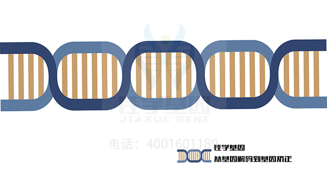 【佳學(xué)基因檢測(cè)】如何做腦缺失伴有小腦發(fā)育不全基因解碼、<a href=http://m.floridacomunitycollege.com/tk/jiema/cexujishu/2021/31933.html>基因檢測(cè)</a>？