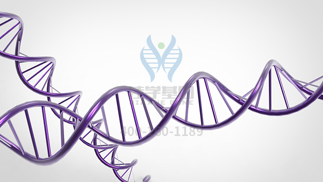 【佳學(xué)基因檢測(cè)】怎么做視網(wǎng)膜色素變性40型基因解碼、<a href=http://m.floridacomunitycollege.com/tk/jiema/cexujishu/2021/31933.html>基因檢測(cè)</a>?