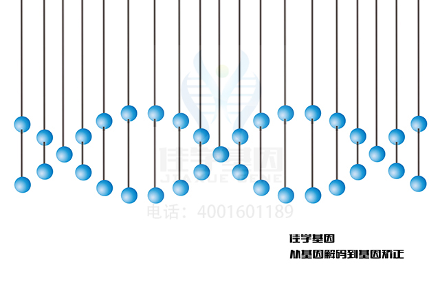 【佳學(xué)基因檢測】嵌合體非整倍體綜合征2型基因解碼、<a href=http://m.floridacomunitycollege.com/tk/jiema/cexujishu/2021/31933.html>基因檢測</a>怎么預(yù)約解讀？