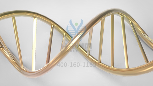 【佳學基因檢測】視網(wǎng)膜色素變性9型基因解碼、<a  data-cke-saved-href=http://m.floridacomunitycollege.com/tk/jiema/cexujishu/2021/31933.html href=http://m.floridacomunitycollege.com/tk/jiema/cexujishu/2021/31933.html>基因檢測</a>的報告看得懂嗎？