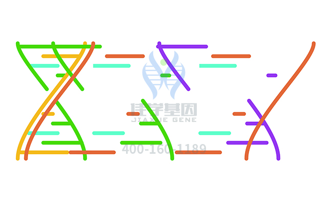 【佳學(xué)基因檢測(cè)】做局灶性或彌漫性非表皮松解性掌跖角化病基因解碼、<a href=http://m.floridacomunitycollege.com/tk/jiema/cexujishu/2021/31933.html>基因檢測(cè)</a>的費(fèi)用是多少？