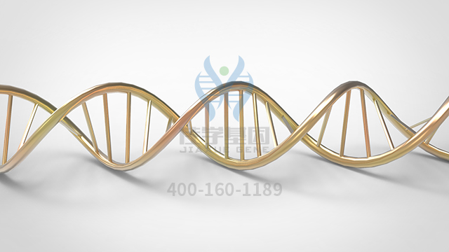 【佳學(xué)基因檢測】腺樣結(jié)腸息肉病伴先天性膽脂瘤基因解碼、<a href=http://m.floridacomunitycollege.com/tk/jiema/cexujishu/2021/31933.html>基因檢測</a>怎么預(yù)約解讀？