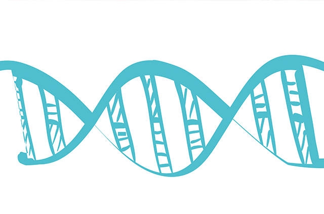 【佳學基因檢測】做增生性血管病變和腦水腫綜合征基因解碼、<a href=http://m.floridacomunitycollege.com/tk/jiema/cexujishu/2021/31933.html>基因檢測</a>需要到總部嗎？