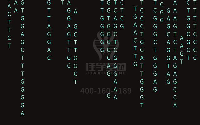 【佳學(xué)基因檢測】如何做頂骨發(fā)育不有效1基因解碼、<a href=http://m.floridacomunitycollege.com/tk/jiema/cexujishu/2021/31933.html>基因檢測</a>？