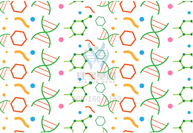 【佳學基因檢測】甲狀腺球蛋白合成缺陷基因解碼、<a href=http://m.floridacomunitycollege.com/tk/jiema/cexujishu/2021/31933.html>基因檢測</a>報告看得懂嗎？