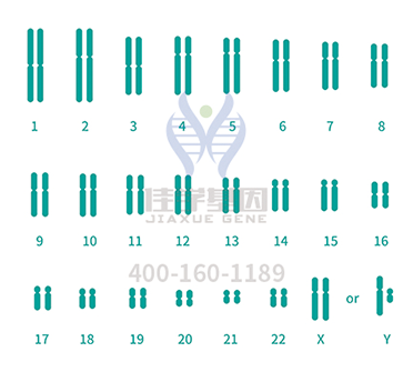 【佳學(xué)基因檢測】如何區(qū)分聯(lián)合性垂體激素缺乏癥6型基因解碼、<a href=http://m.floridacomunitycollege.com/tk/jiema/cexujishu/2021/31933.html>基因檢測</a>？