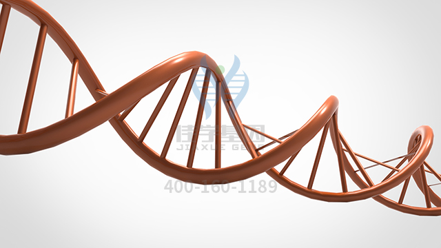 【佳學(xué)基因檢測(cè)】做胰腺囊腫基因解碼、<a href=http://m.floridacomunitycollege.com/tk/jiema/cexujishu/2021/31933.html>基因檢測(cè)</a>的費(fèi)用是多少？