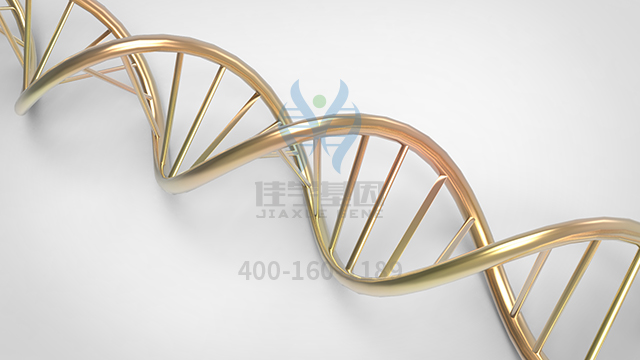 【佳學(xué)基因檢測】什么人要做多發(fā)性內(nèi)分泌瘤2a型基因解碼、<a href=http://m.floridacomunitycollege.com/tk/jiema/cexujishu/2021/31933.html>基因檢測</a>？