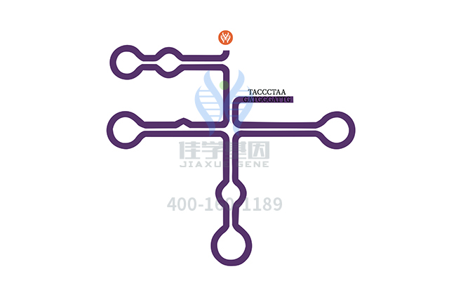 【佳學(xué)基因檢測】假性醛固酮減少癥1型常染色體隱性遺傳基因解碼、<a href=http://m.floridacomunitycollege.com/tk/jiema/cexujishu/2021/31933.html>基因檢測</a>可以只做基因解碼嗎？