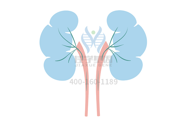 【佳學(xué)基因檢測】做酒精依賴基因解碼、<a href=http://m.floridacomunitycollege.com/tk/jiema/cexujishu/2021/31933.html>基因檢測</a>需要多長時間？