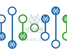 【佳學(xué)基因檢測(cè)】如何做眼面心牙綜合征基因解碼、<a href=http://m.floridacomunitycollege.com/tk/jiema/cexujishu/2021/31933.html>基因檢測(cè)</a>？