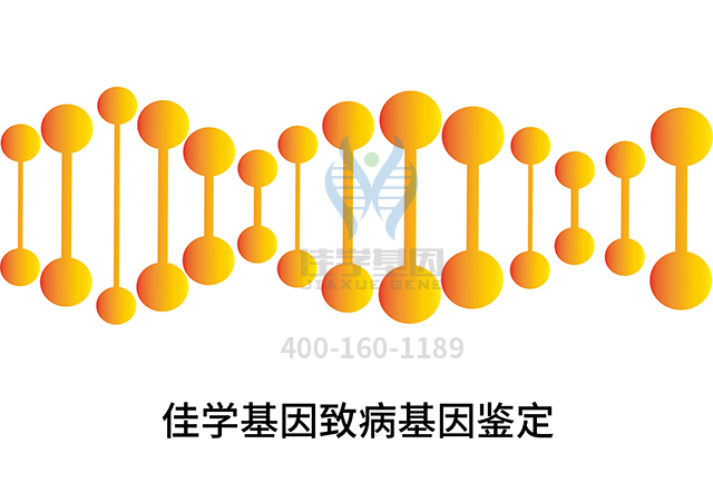 【佳學基因檢測】需要多長時間可以拿耳聾常染色體隱性77型基因解碼、<a href=http://m.floridacomunitycollege.com/tk/jiema/cexujishu/2021/31933.html>基因檢測</a>報告？