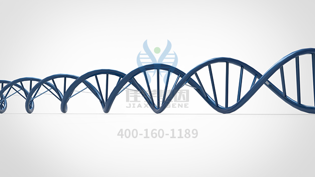 【佳學(xué)基因檢測】耳聾常染色體隱性84b型基因解碼、<a href=http://m.floridacomunitycollege.com/tk/jiema/cexujishu/2021/31933.html>基因檢測</a>的樣品有區(qū)別嗎？