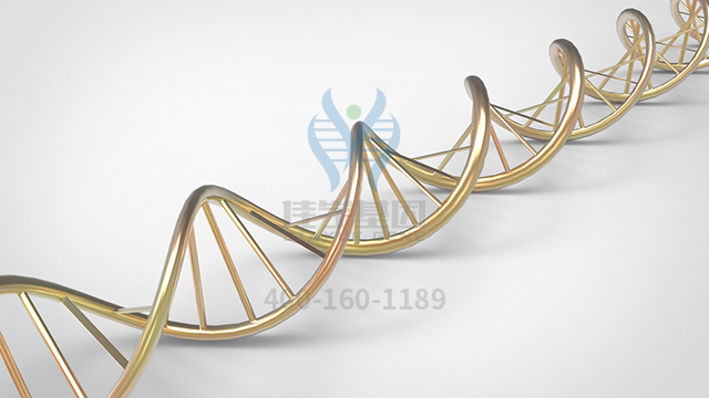 【佳學基因檢測】耳聾常染色體隱性93型基因解碼、<a href=http://m.floridacomunitycollege.com/tk/jiema/cexujishu/2021/31933.html>基因檢測</a>報告時間是一樣的嗎？