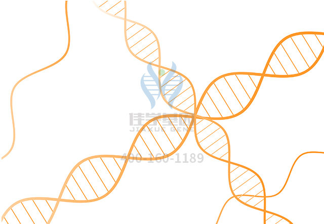 【佳學(xué)基因檢測】做轉(zhuǎn)鐵蛋白變異c1/c2型基因解碼、<a href=http://m.floridacomunitycollege.com/tk/jiema/cexujishu/2021/31933.html>基因檢測</a>需要到總部嗎？