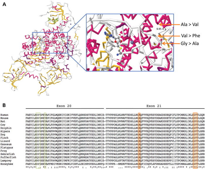 An external file that holds a picture, illustration, etc.
Object name is dds03502.jpg